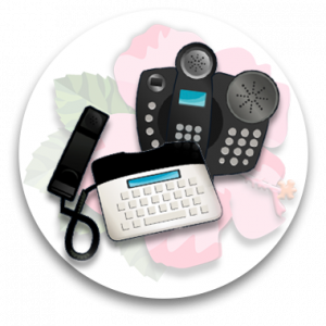 Provide a verity of specialized and assistive telephone equipment at no charge.